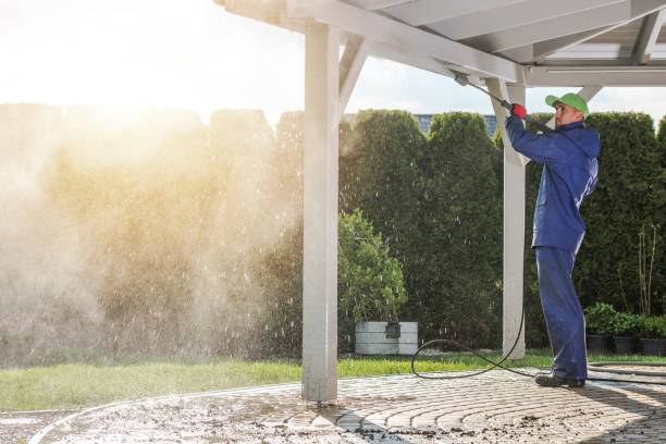 Best Dumpster Area Cleaning  in Deephaven, MN